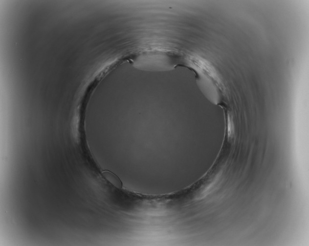 X0000088430627200706051230