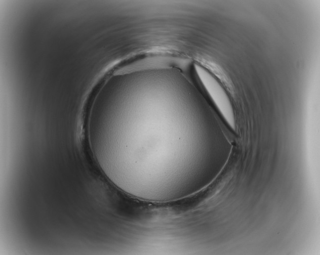 X0000088430628200706051230