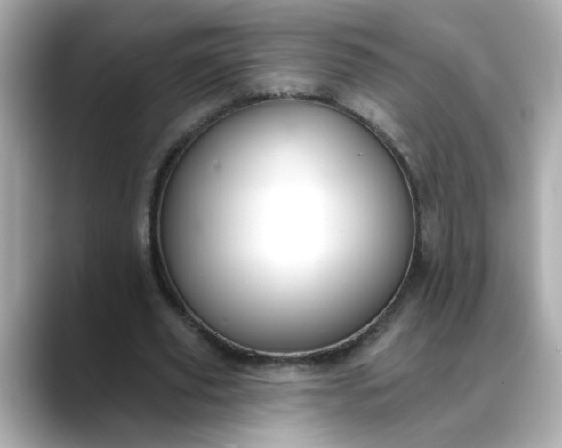 X0000088430629200706051230