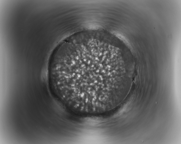 X0000088430630200706051230