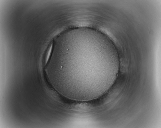 X0000088430631200706051230