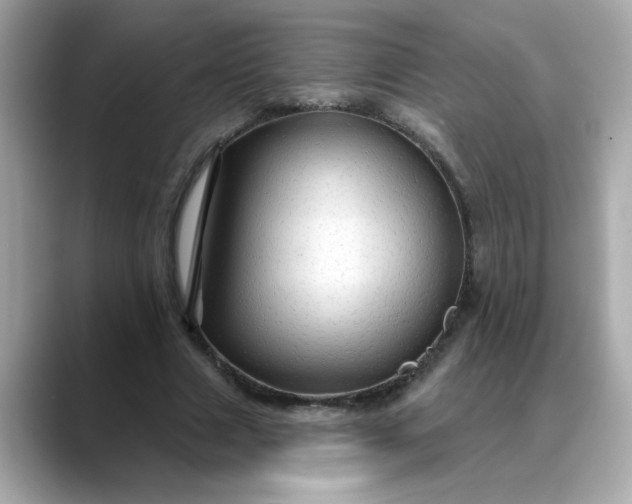 X0000088430633200706051230