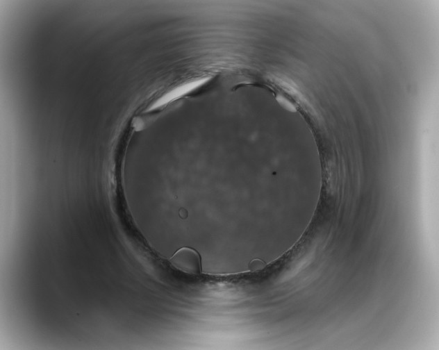 X0000088430634200706051231