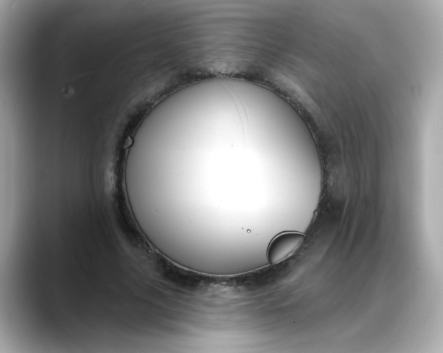 X0000088430635200706051231