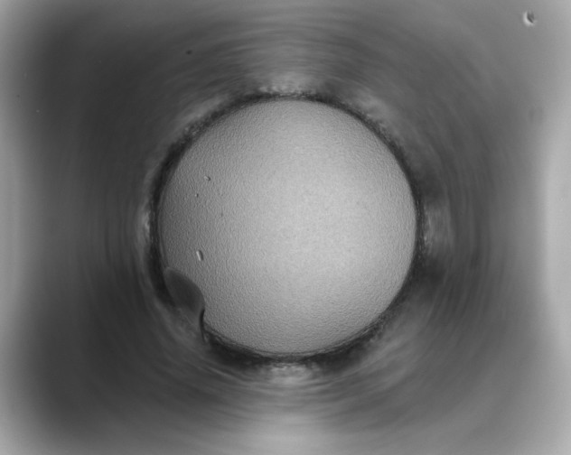 X0000088430636200706051231