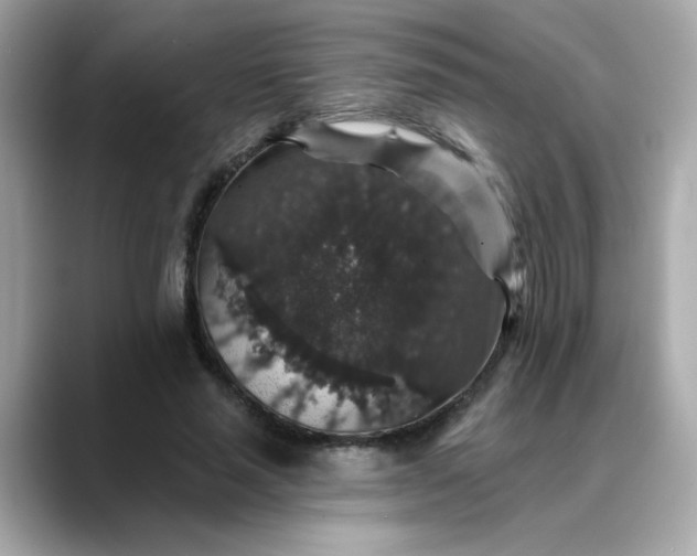 X0000088430637200706051231