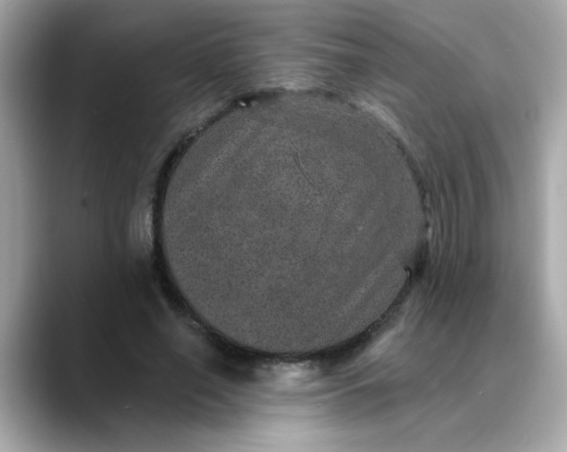 X0000088430638200706051231