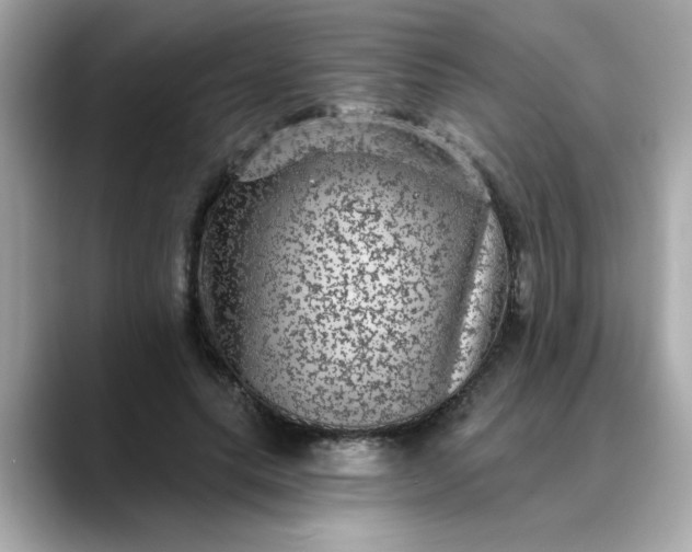 X0000088430639200706051231