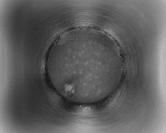 X0000088430640200706051231