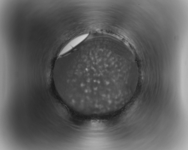 X0000088430641200706051231