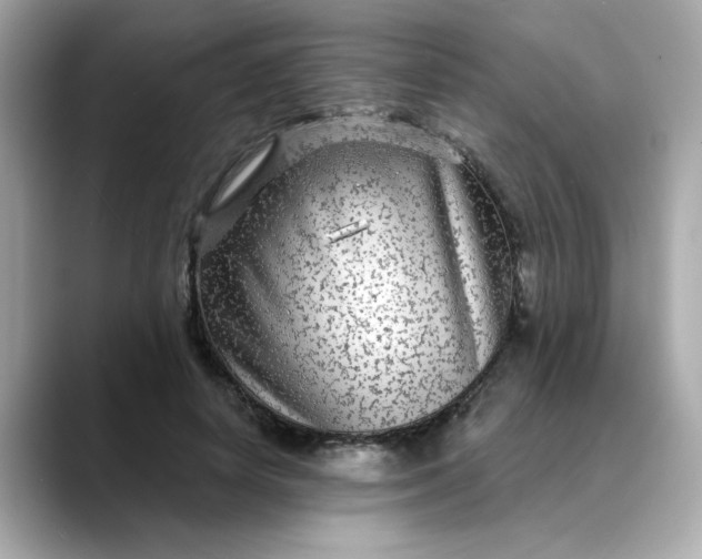 X0000088430642200706051231