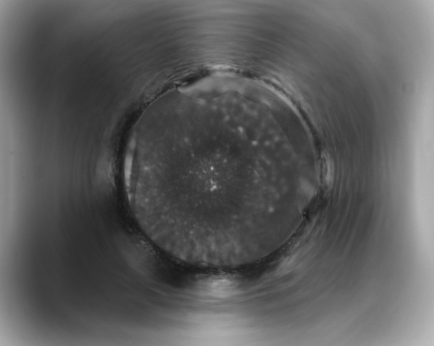 X0000088430643200706051231