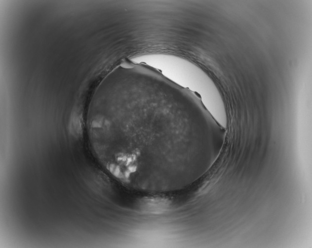 X0000088430644200706051231