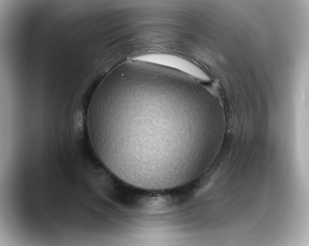 X0000088430646200706051231