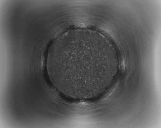 X0000088430647200706051231