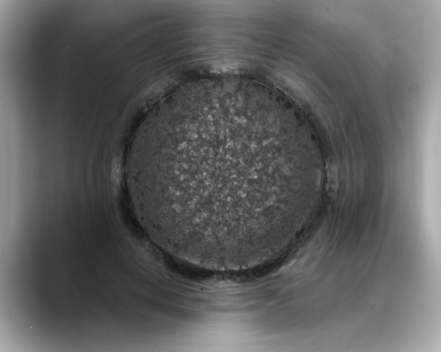 X0000088430648200706051231