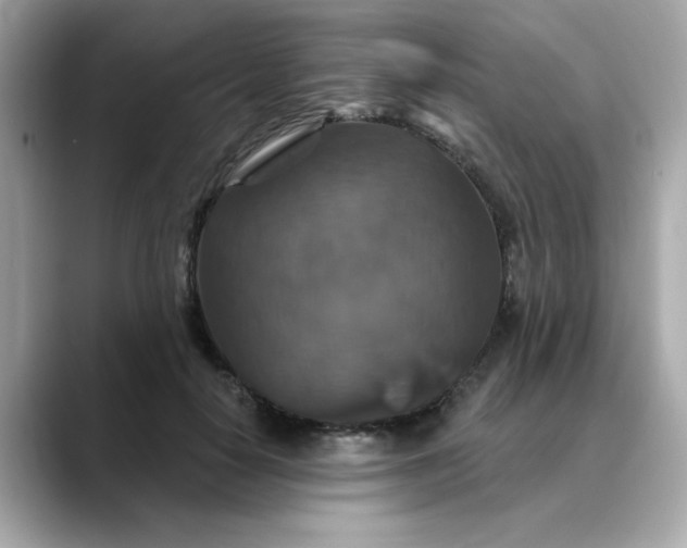 X0000088430650200706051231