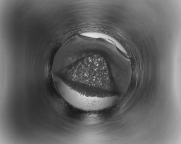 X0000088430651200706051231