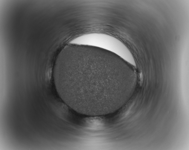 X0000088430652200706051231