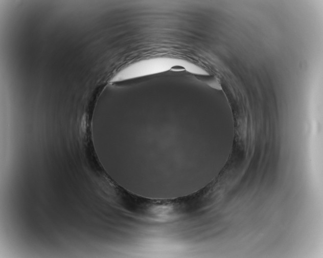 X0000088430653200706051231