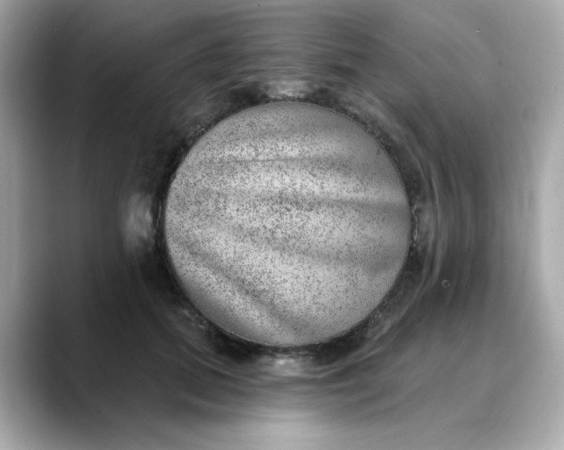 X0000088430655200706051231