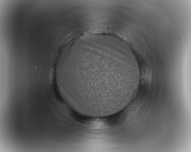 X0000088430656200706051231