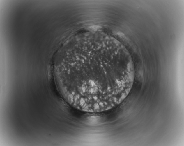 X0000088430658200706051231