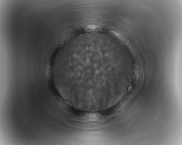 X0000088430659200706051231