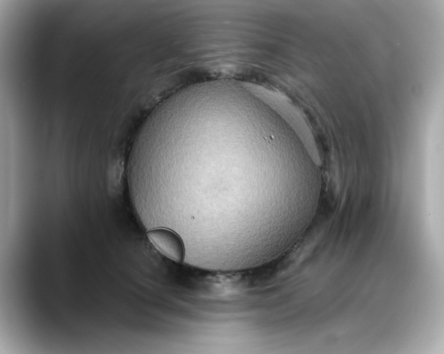 X0000088430660200706051231