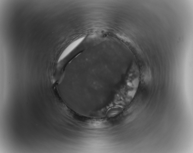 X0000088430661200706051231