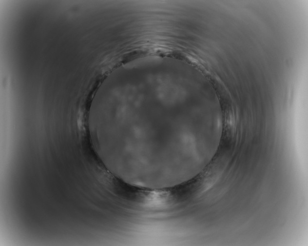 X0000088430663200706051231