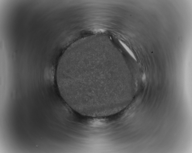 X0000088430664200706051231