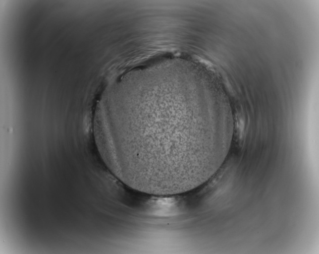 X0000088430665200706051231