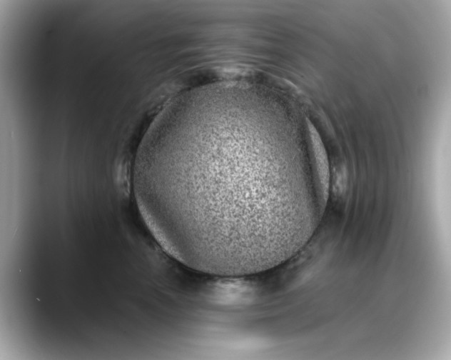 X0000088430666200706051231