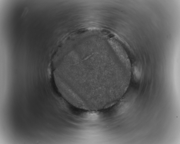 X0000088430668200706051231