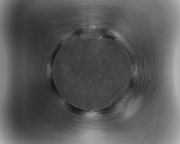 X0000088430669200706051231