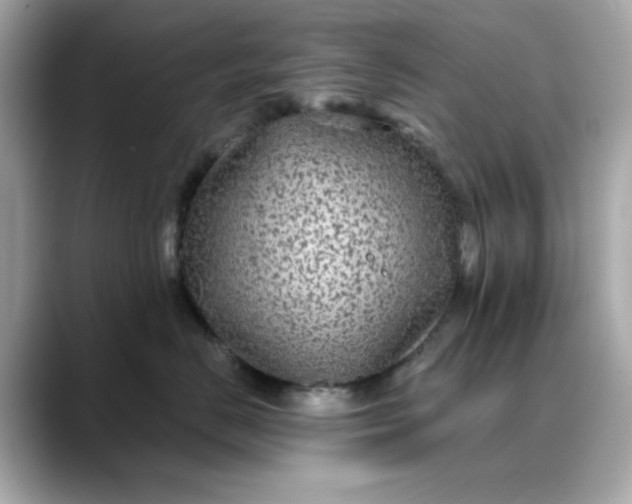 X0000088430670200706051231