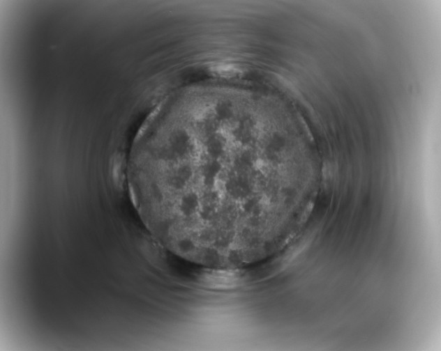 X0000088430671200706051231