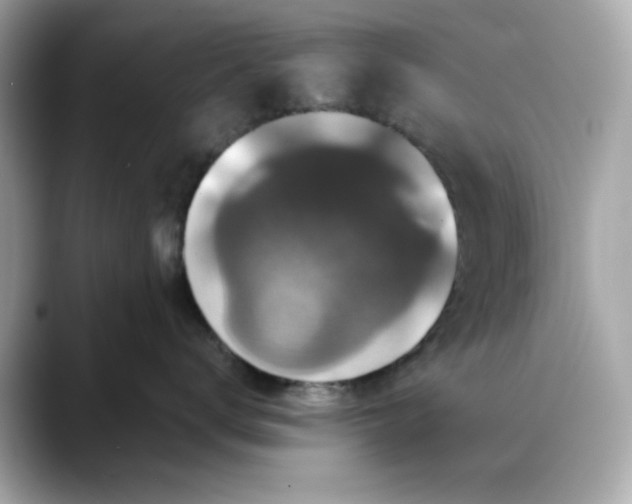 X0000088430672200706051231