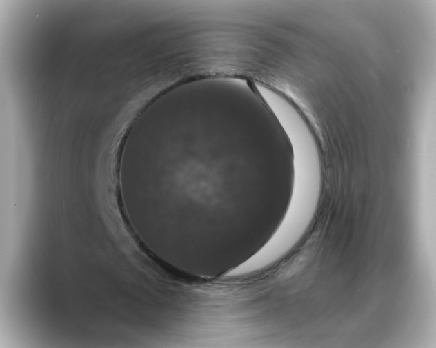 X0000088430673200706051230