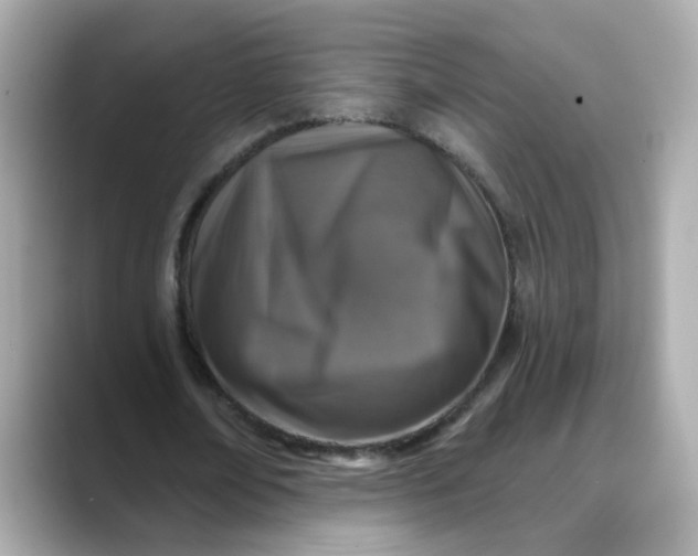 X0000088430674200706051230