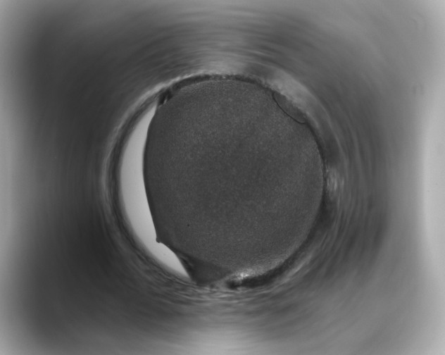 X0000088430676200706051230