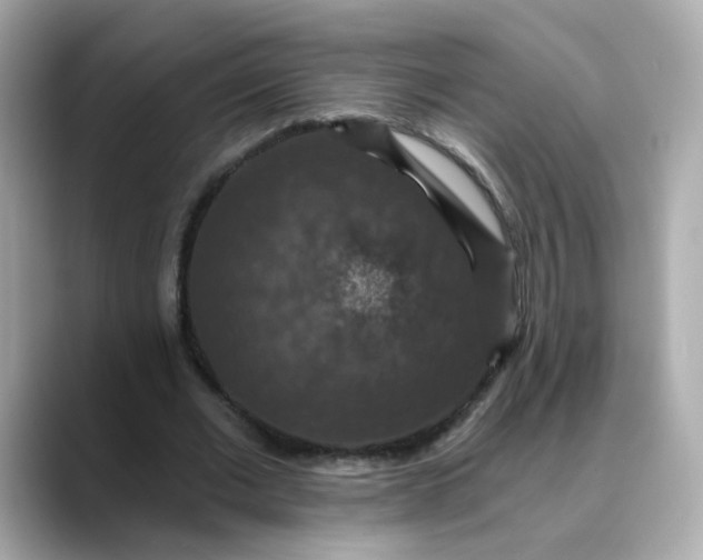 X0000088430677200706051230