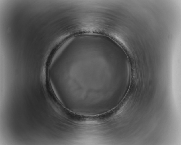 X0000088430678200706051230