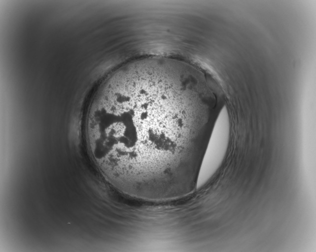 X0000088430679200706051230