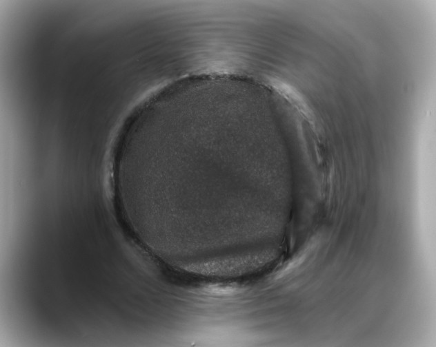 X0000088430680200706051230