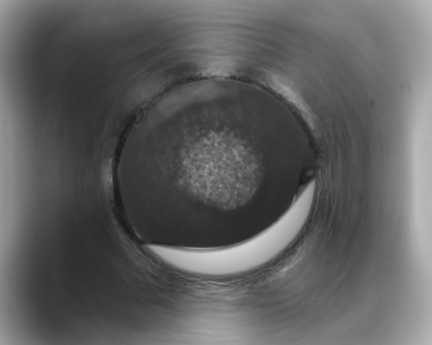 X0000088430681200706051230