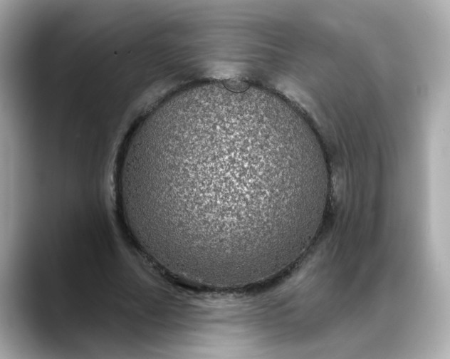 X0000088430682200706051230