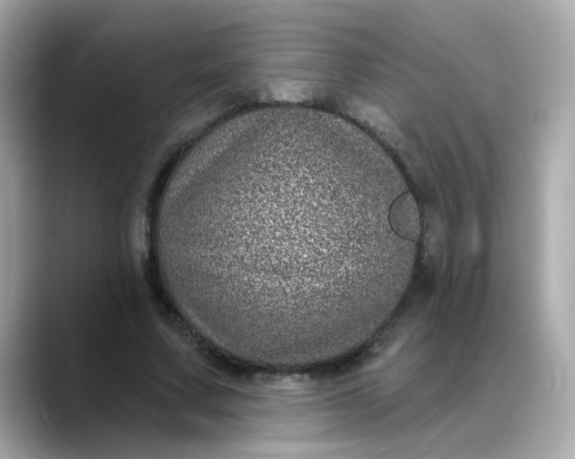 X0000088430683200706051230