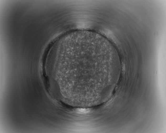 X0000088430684200706051230